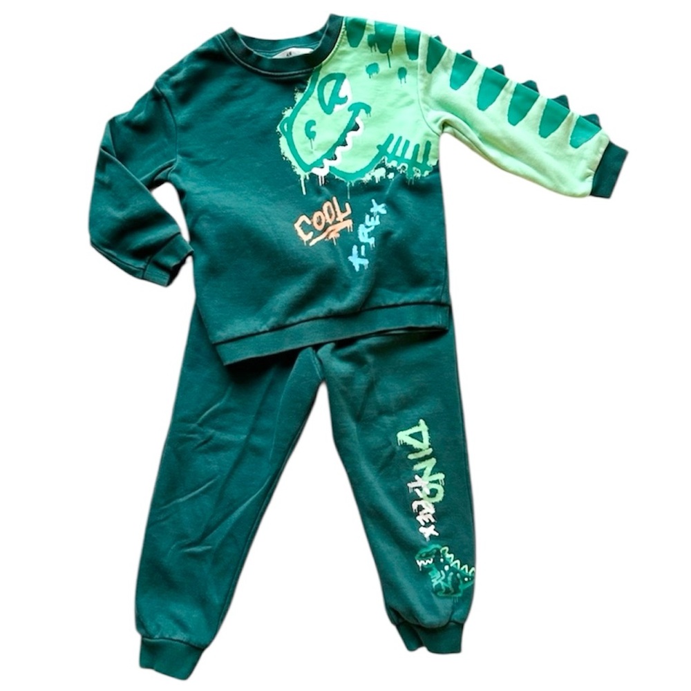 H&M Cool T-Rex Dino Graphic Cotton Terry Sweatpant Top Outfit Dark Green Size 4T